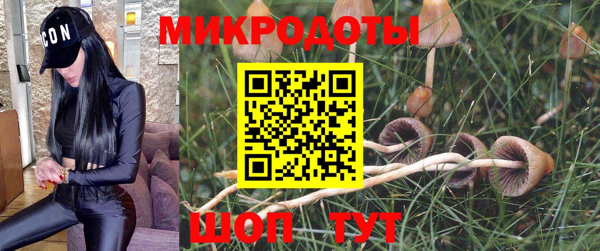 Петропавловск-Камчатский  Галлюциногенные грибы Cubensis  Вход с VPN  Псилоцибиновые грибы мицелий 